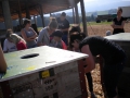 14_aout_2012_10_20120915_1506690622.jpg