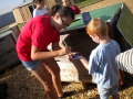14_aout_2012_1_20120915_1807652911.jpg