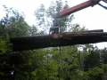 bois_12_20120808_1371264257.jpg