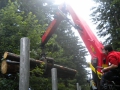 bois_19_20120808_1943098610.jpg