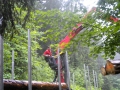 bois_21_20120808_1246964417.jpg