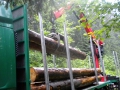 bois_24_20120808_1032448488.jpg