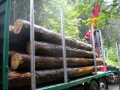 bois_25_20120808_1433467139.jpg
