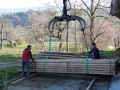 bois_8_20120531_1155387612.jpg