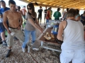 montage_26_20120915_1866413212.jpg