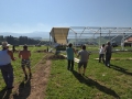 montage_28_20120915_1939098353.jpg
