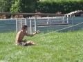 montage_37_20120915_1103023359.jpg