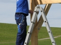 montage_82_20120915_1125596802.jpg
