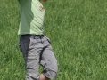 montage_83_20120915_1878754017.jpg