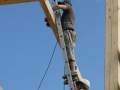 montage_84_20120915_1815575601.jpg