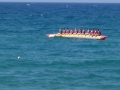 1474798_10151744380801431_451227828_n
