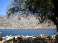DSCN4148.jpg