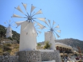 DSCN4233.jpg