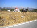 DSCN4239.jpg